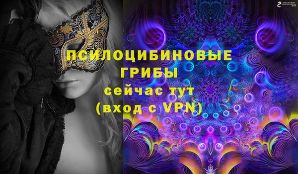 PSILOCYBIN Заводоуковск