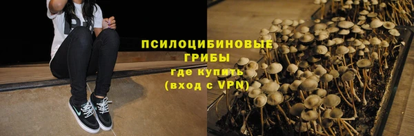 apvp Зеленодольск