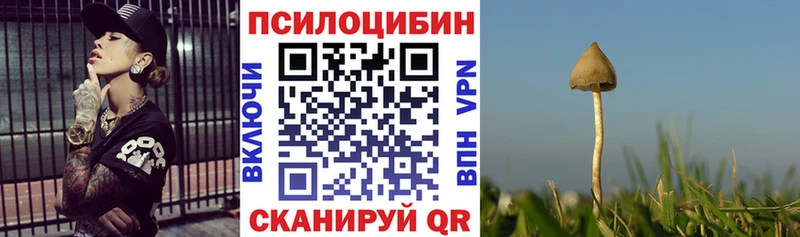 Купить где  Каргат  Галлюциногенные грибы Cubensis 